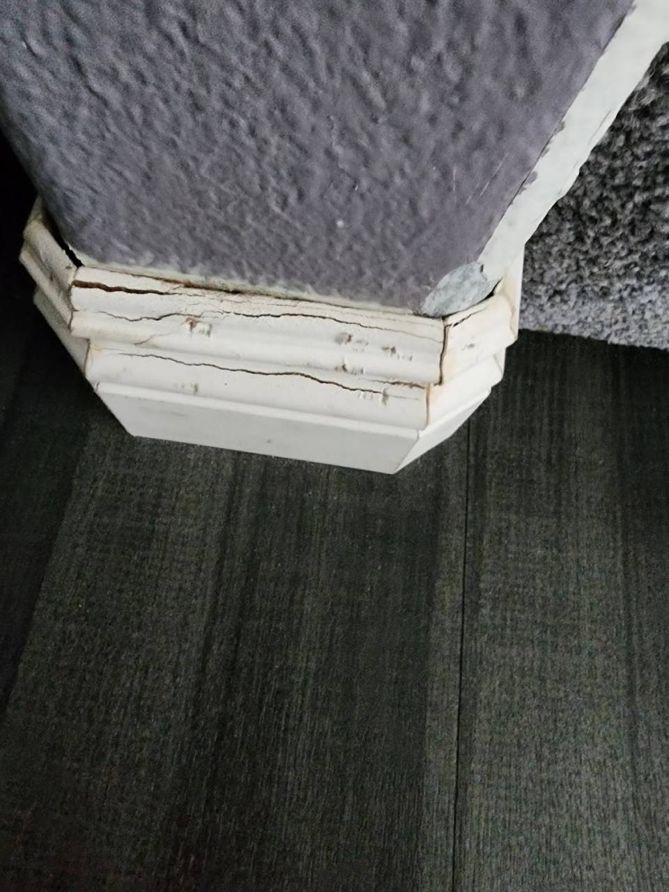 AF1QipPuE209ZMyq1-RJ7E94pfQVMAeW76JkH7vsvkXH=s1500 (2)