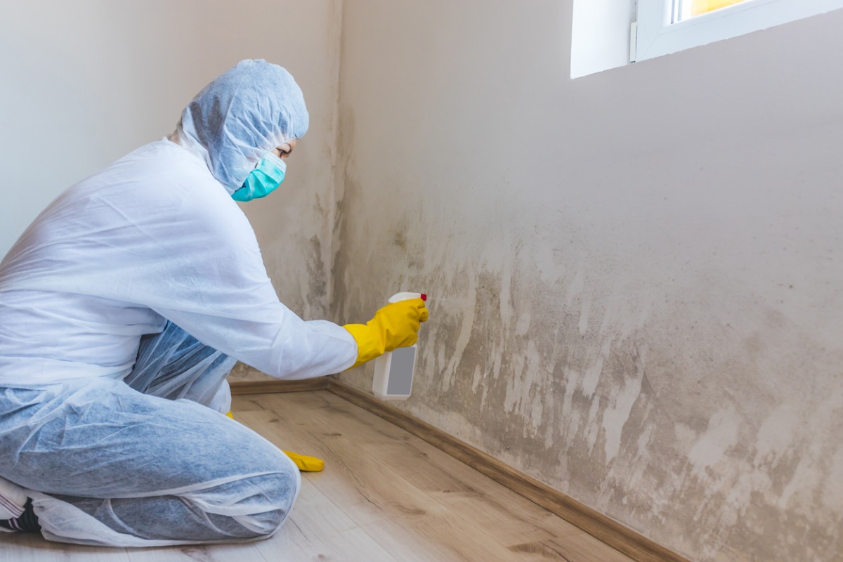 woman-removes-mold-from-wall-using-spray-bottle-with-mold-remediation-picture-id1224200980