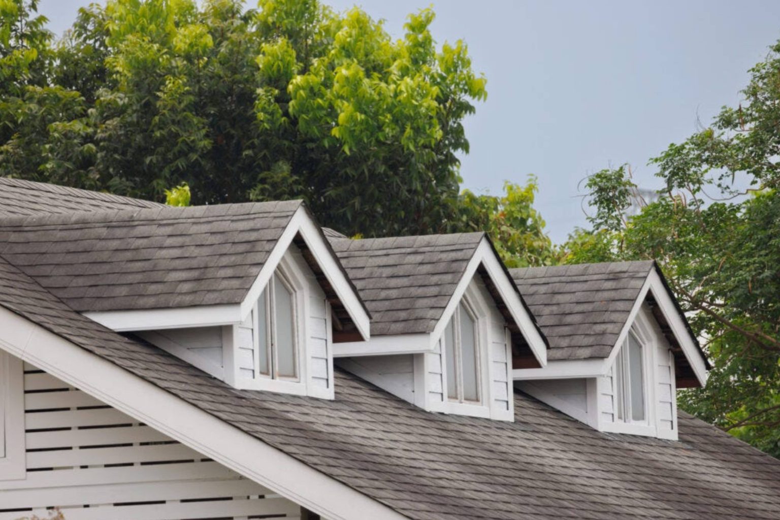 shutterstock_612038903 (1)