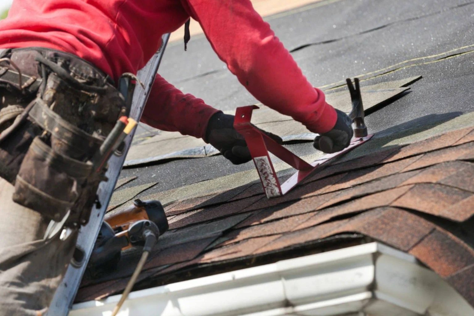 shutterstock_612038903 (6)