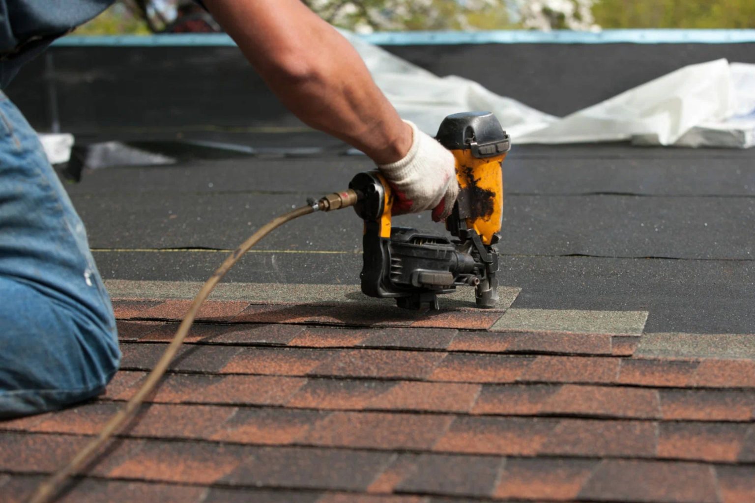 shutterstock_612038903 (7)