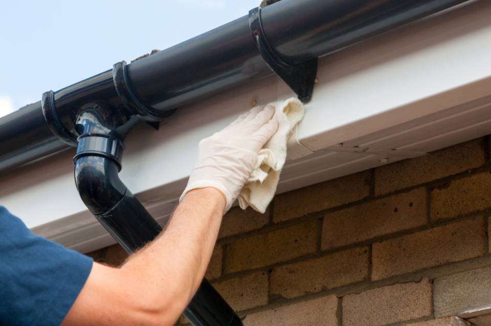 1_F-ZxEzbJA1cp8OcYi8HBTA (12)