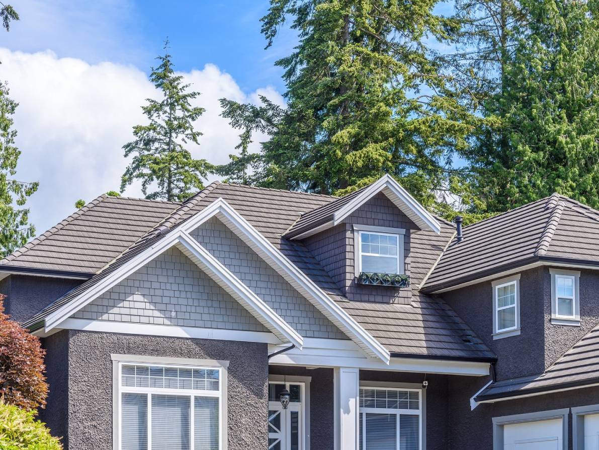 055db6bf0256091ccd24f7d80265300b (10)