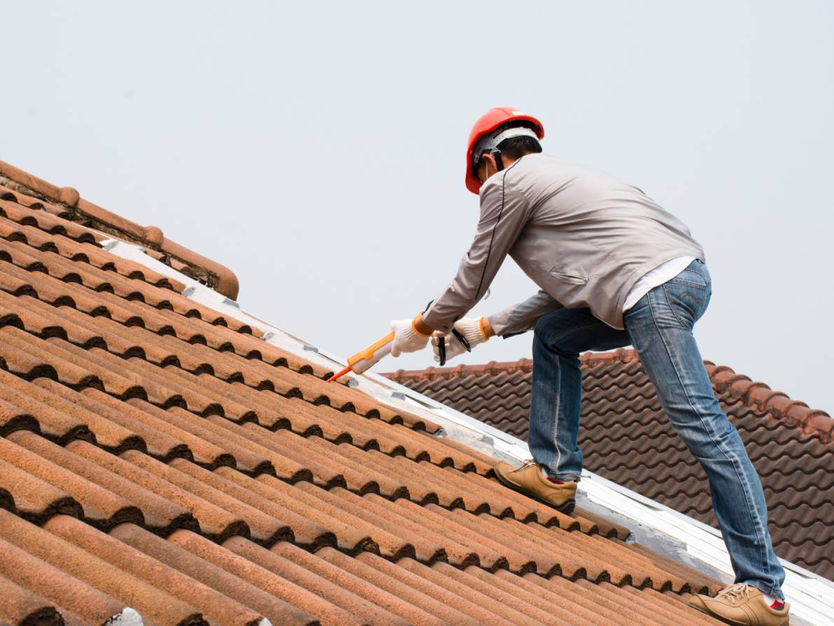 055db6bf0256091ccd24f7d80265300b (4)