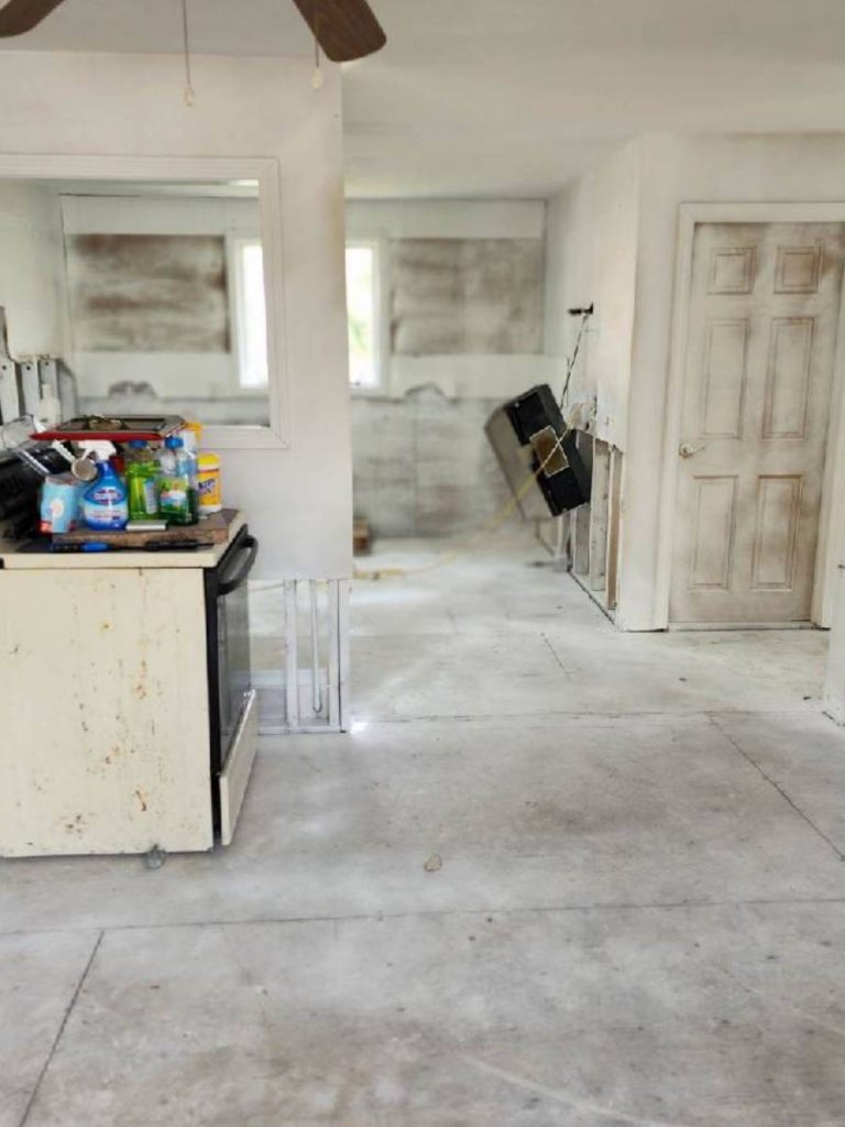 AF1QipPqQ9xc6YDxh-5v_wMQW2cxgt-JhO_aWGaaPQS9=s1500 (10)