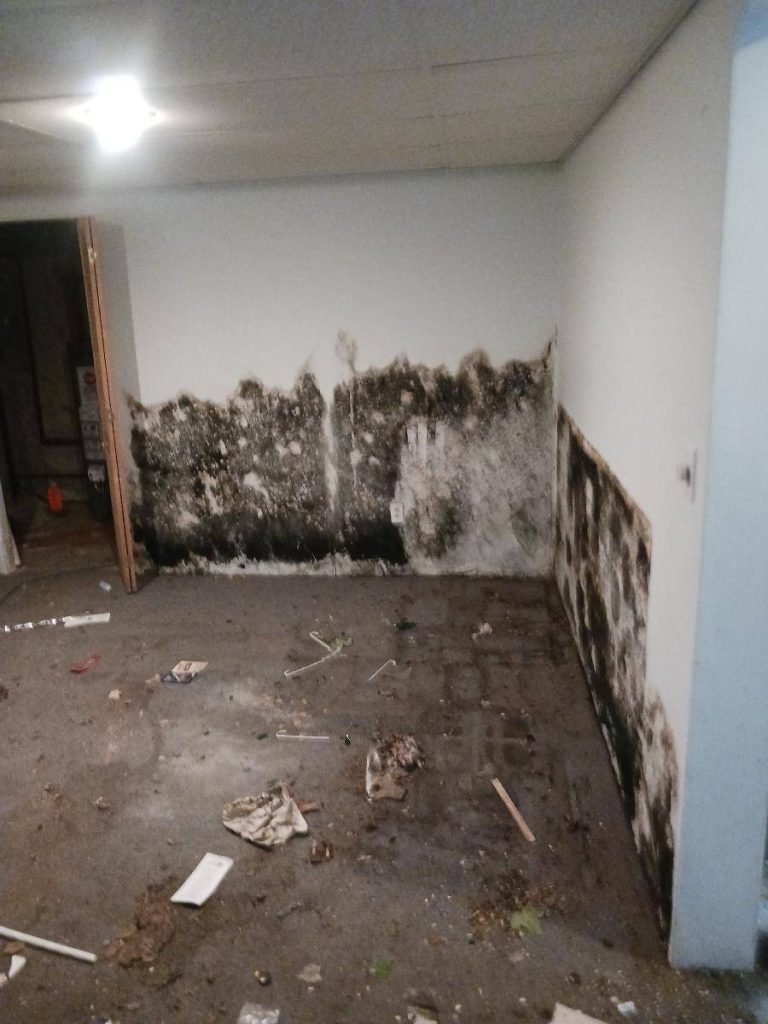 AF1QipPqQ9xc6YDxh-5v_wMQW2cxgt-JhO_aWGaaPQS9=s1500 (5)