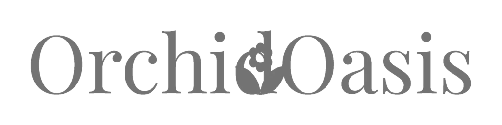 05-RecoveryPath-scaled-1